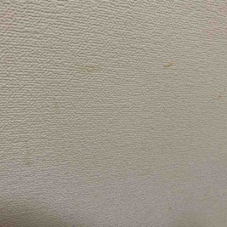 汚部屋:片付け&掃除日記