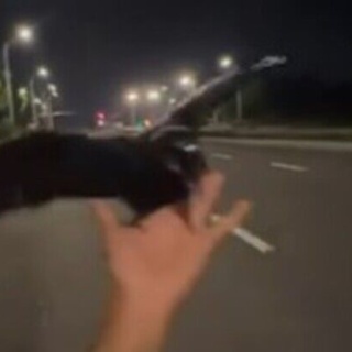 ネタ動画.ＣＯＭ