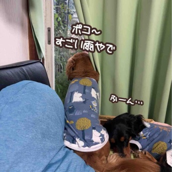 台風まだ来ない。
