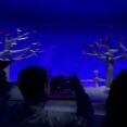 【TDL】東京ディズニーランド「美女と野獣」で2歳ぐらいの子どもが救急搬送　「安全ベルトが首にかかり苦しんでいる」と通報。   母親の助けを呼ぶ声が響き渡る（動画あり）