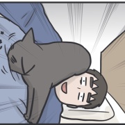 夫の今日の猫自慢