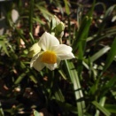 水曜日陶芸教室