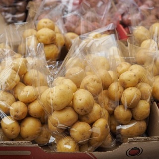 にいがた速報 - 新潟県新潟市の地域情報サイト