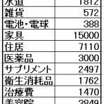 下流のお一人様家計簿blog☆彡