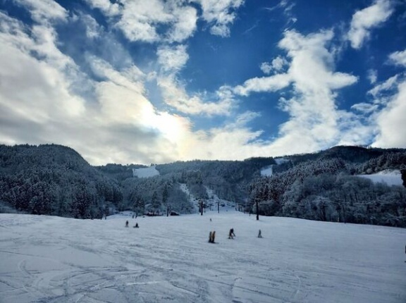 今週末に富山市で開催される『イベント』まとめ。2026年2月14日〜2月15日。