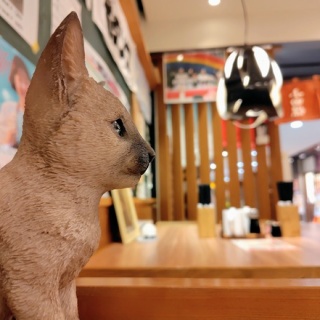 自己ベスト更新中