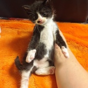 巣立ちの歌☆栄光