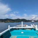 会計釣行　和歌山由良