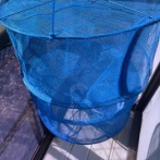 これ買ったんやが（※画像あり）