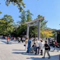 伊勢神宮で、婆の健康を祈る