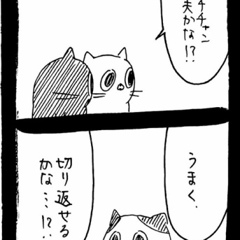 選挙に出馬しよう48