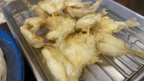 【悲報】ワイ「キス釣りでキス釣れた！でももしかしたらこのキス泳がせたらもっとデカいの釣れるかも！」←これ