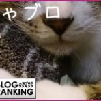 にゃーのＤｉｓｎｅｙブログ
