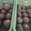里芋販売中…中古農機引きとり