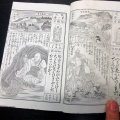 和本明治26年（1893）「通俗絵入坂東観世音霊場記/秩父観世音霊場記」2冊/永井俊太郎/古書/銅版摺り