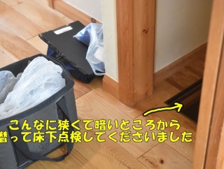 【築21年の家メンテナンス】シロアリ床下点検の結果は？5年ごとの防蟻工事と費用を公開（記事下にPR含）