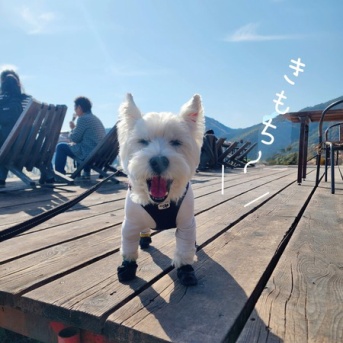 ほったらかしキャンプ場で食べたごはん記録