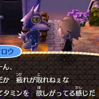 とび森で村長生活（仮）