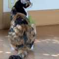 あきちゃん