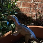 暇人、時々ひるがの高原へ行く！