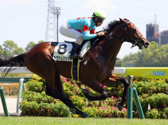 【競馬予想】第60回デイリー杯2歳ステークス(GⅡ) /2025