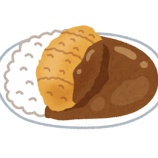 『カレーに一番会う揚げ物って…』の画像