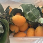 サラリーマンの日本および海外ふらふら旅