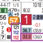 ハイブリッド競馬新聞