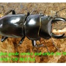 〇連休はポイント5倍＼(^o^)／