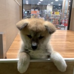 神奈川県 ワンラブ LICOPA川崎店のスタッフブログ