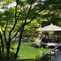 7月29日のお稽古ー行之行台子、茶箱卯の花