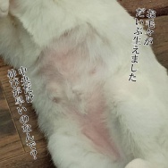 青春に忙しい娘。と、黄色い鉱石つくりました。