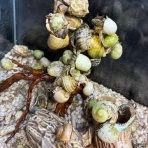 フィッシュジャパンの総合blog