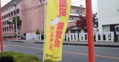 昨日は秘密結社ねこのひげ譲渡会♪