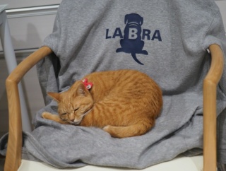 ちょっとの間に…