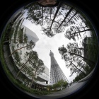 『魚眼レンズ　LAOWA4mmF2.8によるスカイツリー　2019/09/27』の画像