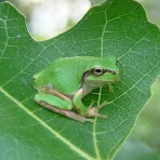 爆速ニュースちゃんねる～世の中の今がまるわかり～