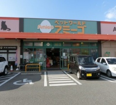 イベント情報！！〜アミーゴ姫路飾磨店〜