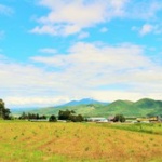 北海道の田舎住みだけどどう思う？ 	