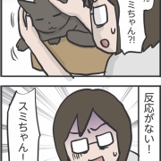 スミちゃんにこっそりごはんをあげようとしたら