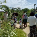 親子でバラ観察会'26 ④