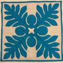 ノエウラクラス〜川崎小田栄教室