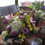 　車椅子犬『もものリハビリムービー+ゆず』　