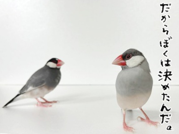 ジルが彼女について語ります