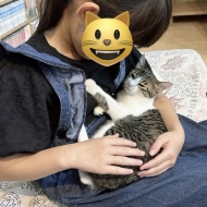 トライアル決定～ダブル発表～