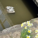 松下恵子のピアノブログ