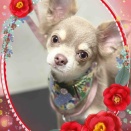 1月9日のお友達❤️