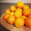 アメリカでみかんが人気になってきた？