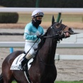 The 28th Nakayama Grand Jump（J･GⅠ）