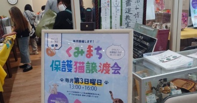 昨日は秘密結社ねこのひげ譲渡会♪